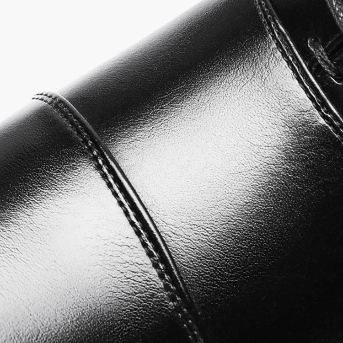 Monaco Classic Leather Shoes with Modern Finish